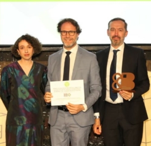 Entrega Premios AVS 2025