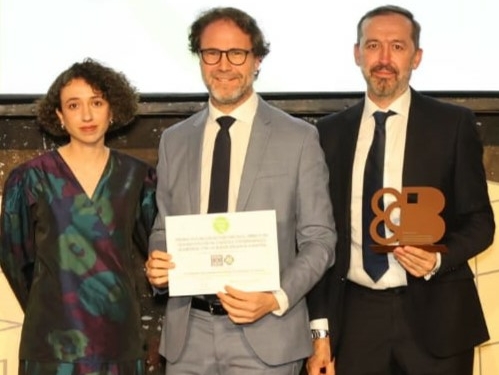 Entrega Premios AVS 2025