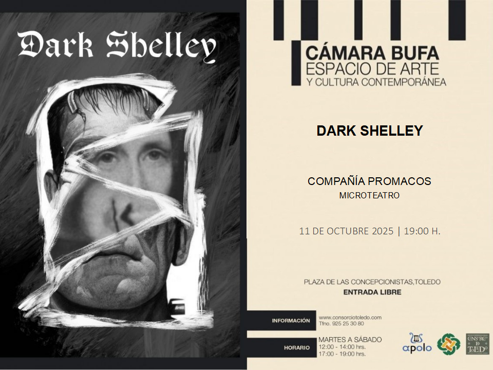 Cartel descriptivo del evento